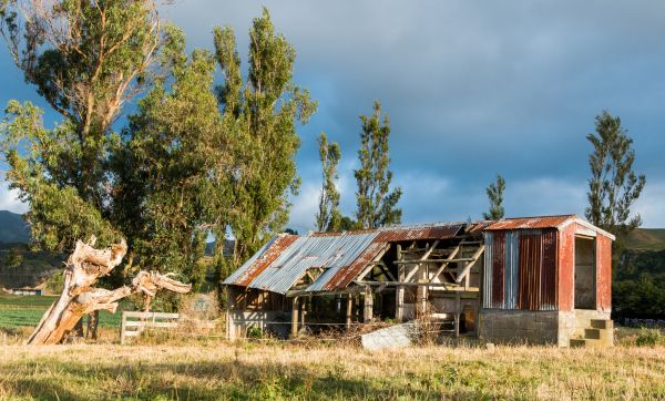 Garden Shed Disposal
